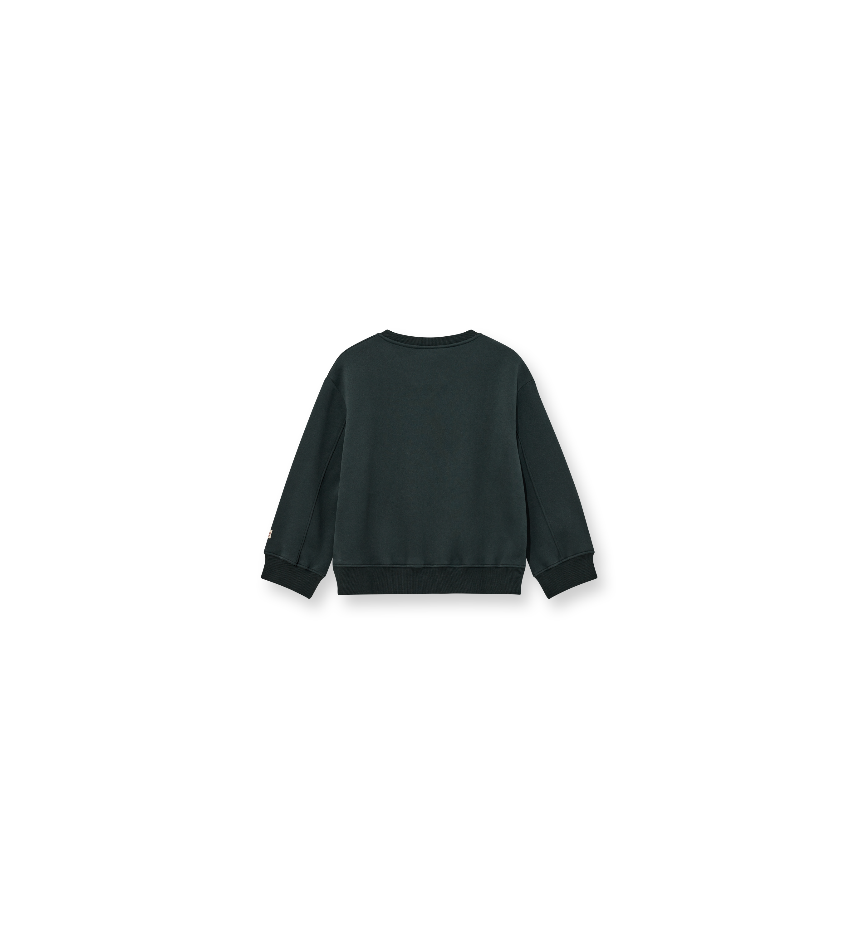 Packshot / Deep Forest / Back